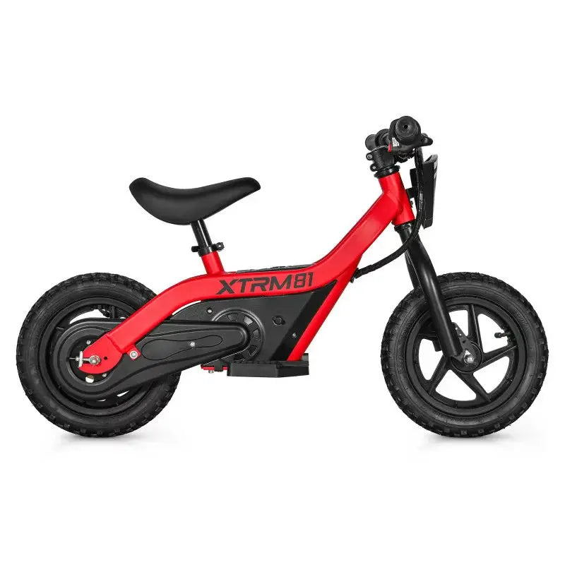 Draisienne Électrique Pour Enfant 24V 100W DX