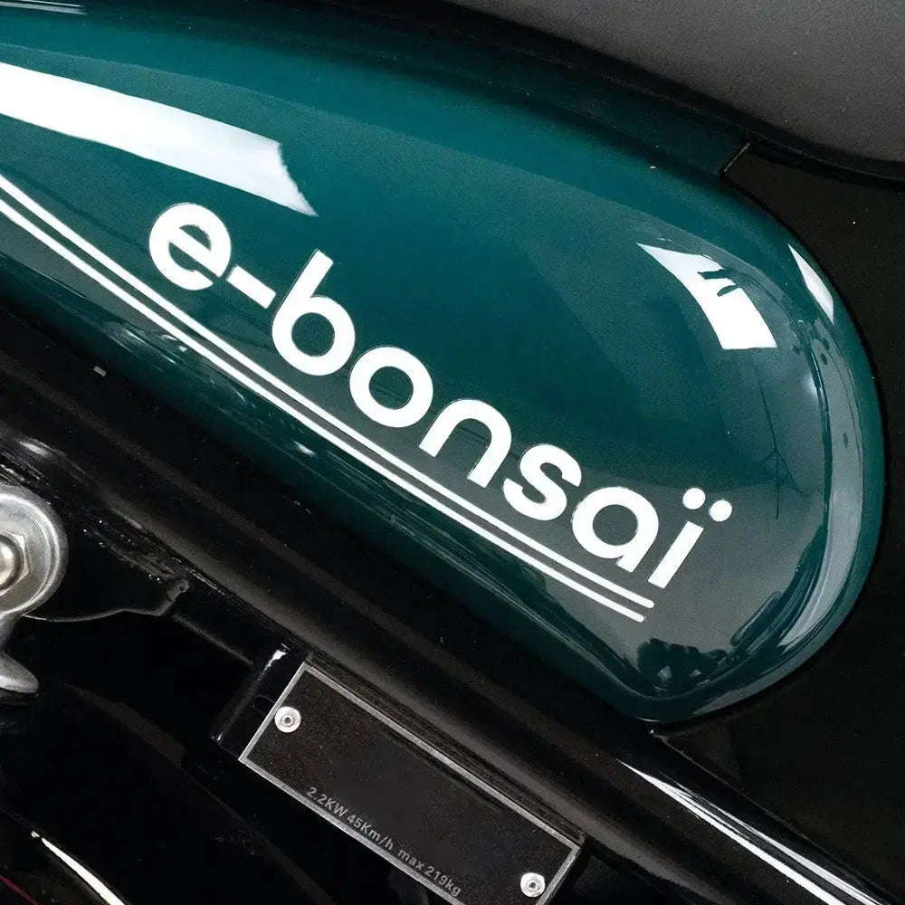 Easy-Watts e-Bonsaï Over Watt