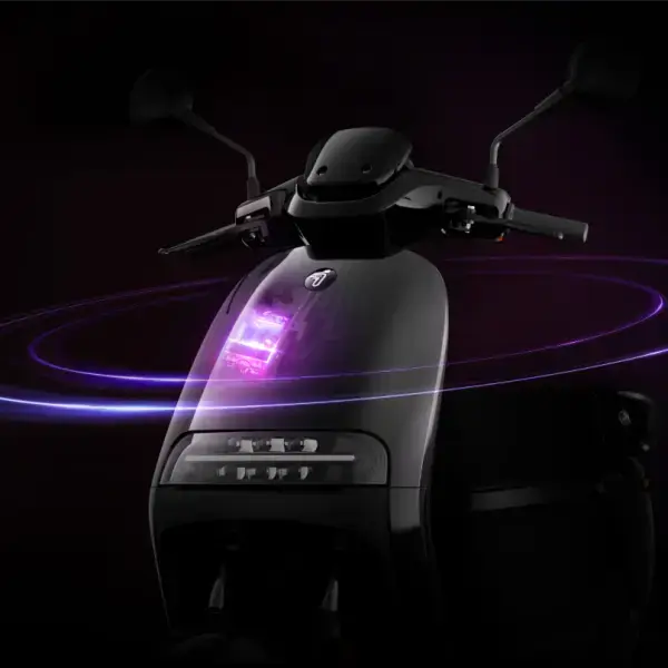 SEGWAY E250S Over Watt
