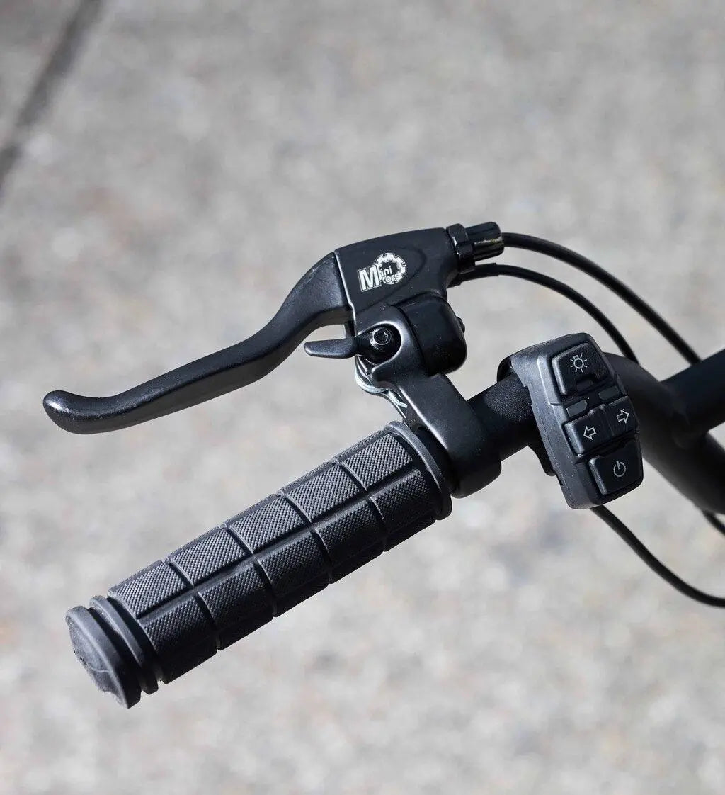 Trottinette Électrique Dualtron Togo Minimotors