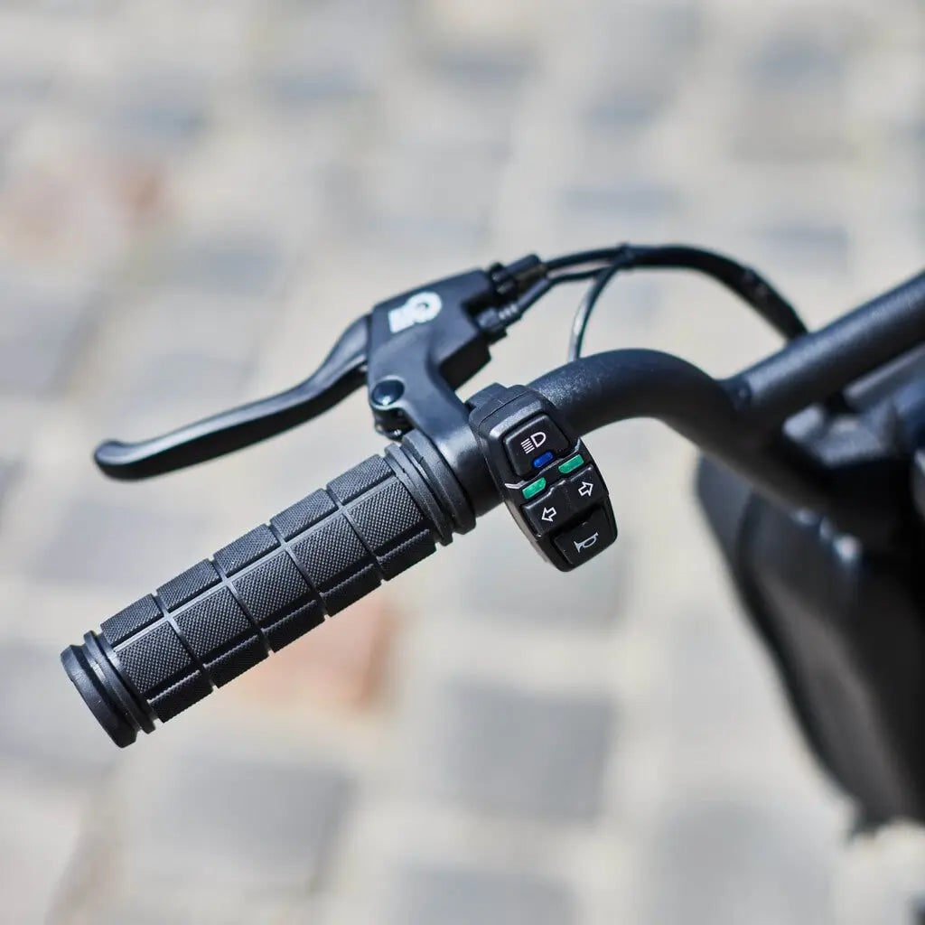 Trottinette Électrique Dualtron Togo Limited Minimotors