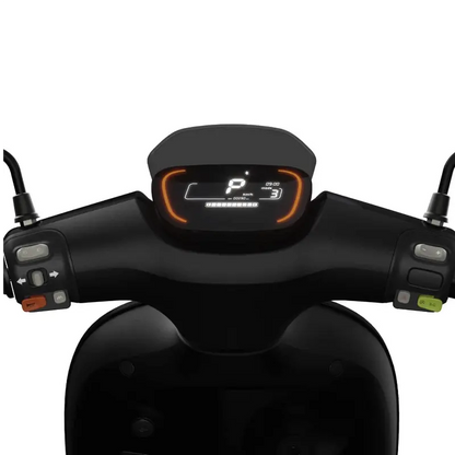 Segway E110s Segway