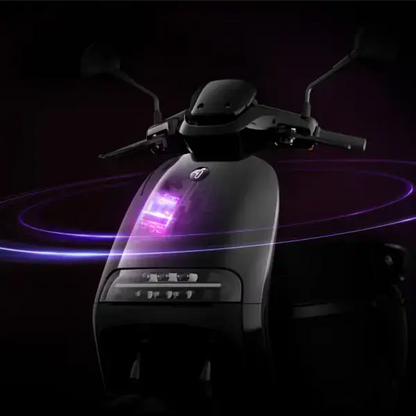 SEGWAY E250S Over Watt