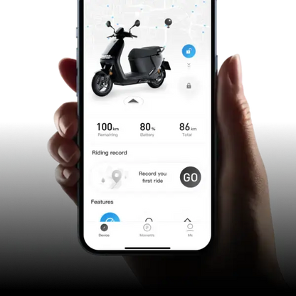 SEGWAY E250S Over Watt