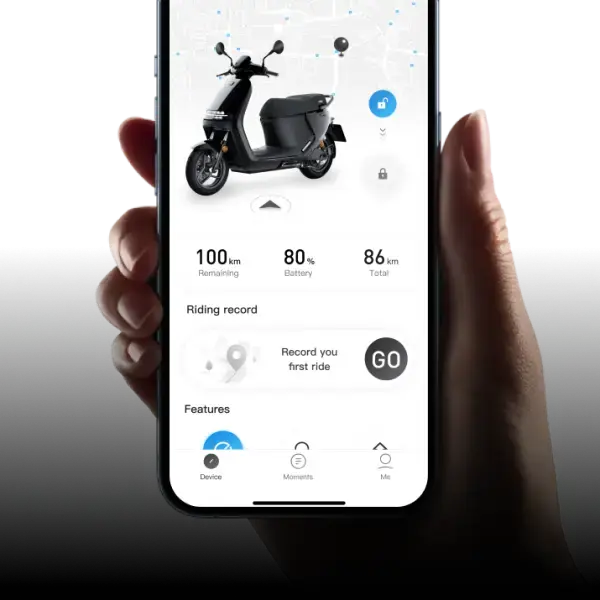 SEGWAY E250S Over Watt