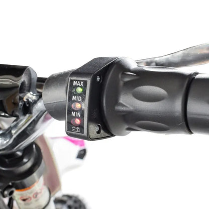 Pocket Bike Enfant Électrique 500W MX euro import moto
